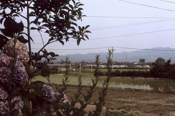 Date: 12 February 2026 (Thursday)