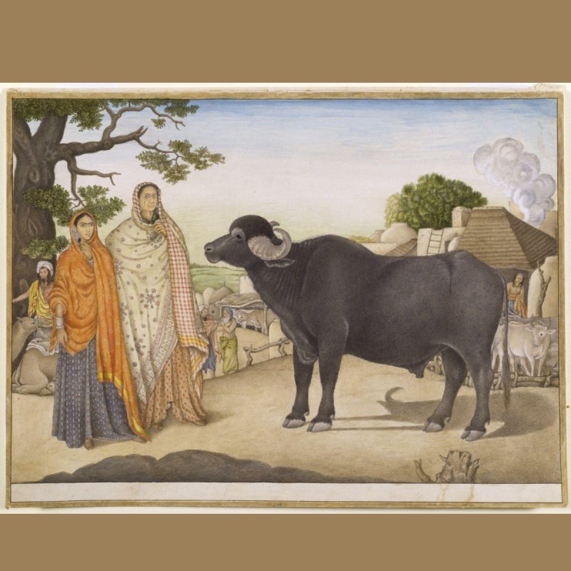 30 April 2026 (Thursday)