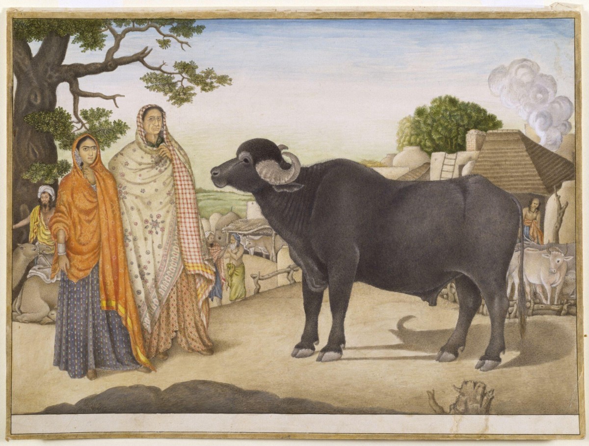 30 April 2026 (Thursday)